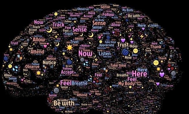 Psychology Vs Sociology. A Brief Study and Facts psychology vs sociology