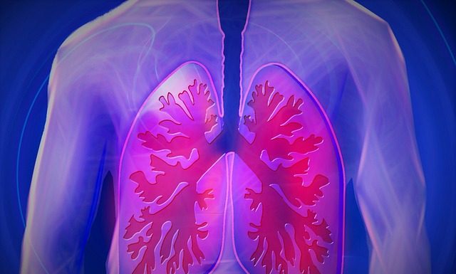 7 Foods to Improve Lung Health