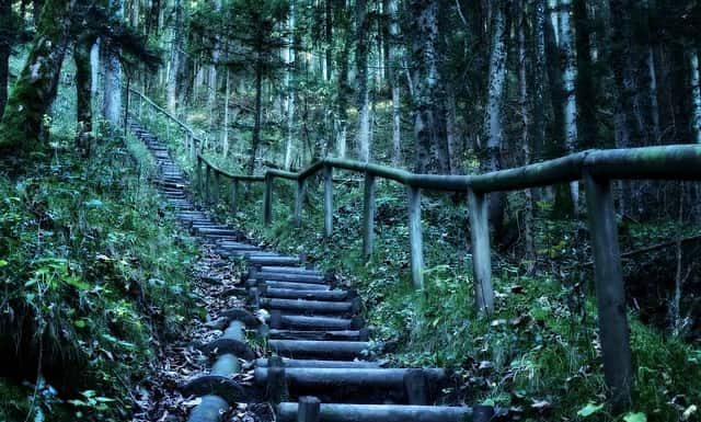 Stairs in the Woods & The Myth Behind it Stairs in the Woods - Random stairs in the woods - Stairs in the woods debunked - Stairs in the woods meaning