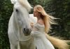 Dream Interpretation: What does Horse Dream Mean?