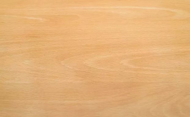 What is Parawood? Its Usage and Comparison with Other Types of Wood What is Parawood - parawood vs pine