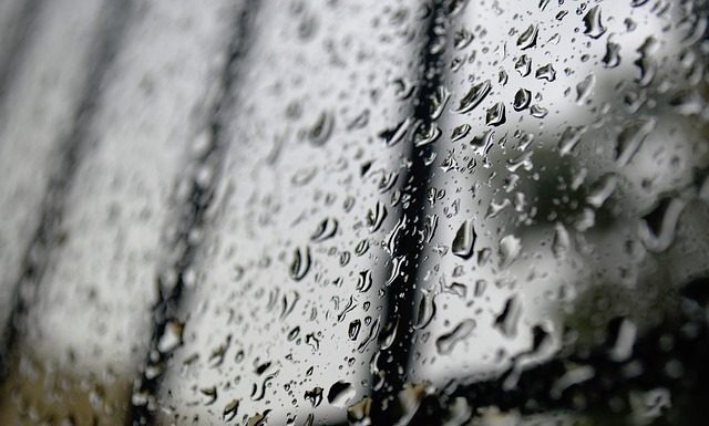 How to Prevent Damage from the Damp Moisture