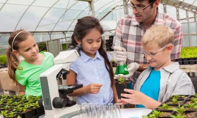 Complete Guide to Find Science Tutor For Your Child At Any Grade Level