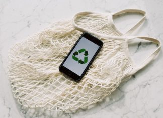 7 Eco-Friendly & Biodegradable Food Packaging Materials Eco friendly food packaging manufacturers - Eco friendly food packaging for small business