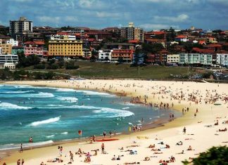 Bondi Junction Stay: Top Accommodation Tips & Recommendations