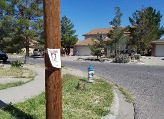 When is it Appropriate to Step In? Exploring the Circumstances of Tracing a Missing Individual