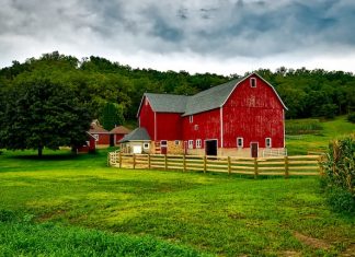 Why Barns Are Red
