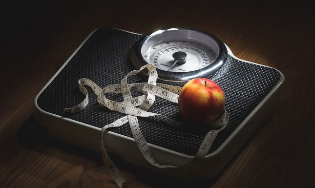 Macronutrient Calculator: Easy Diet Management