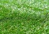 Year-Round Beauty: How Artificial Grass Enhances Outdoor Spaces