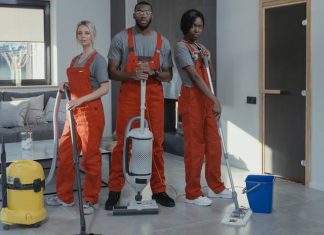 When Termites Are Too Much to Handle: Signs You Need Professional Help