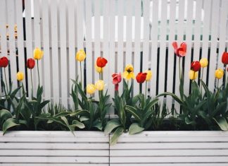 Improve Your Property’s Security with the Right Fencing Solutions