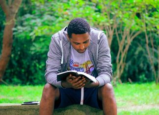 The Phoenix Effect: Rising From the Ashes of Addiction