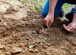 Are USDA Loans Really Only for Farmers? Busting the Myths Are USDA Loans Really Only for Farmers