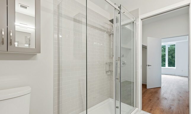Benefits of Frameless Shower Doors for Contemporary Designs