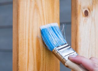 Dry Rot is a Structural Threat You Can’t Ignore