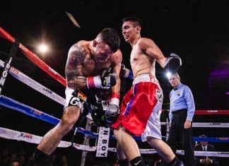 Unleashing the Thrill: SFFAreboxing Fixtures from SportsFanfare SFFAreboxing Fixtures from SportsFanfare