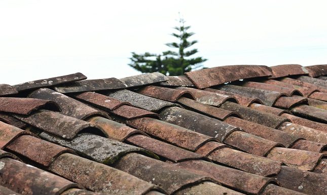 Top Tips For Maintaining Your Roof Throughout The Year
