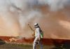 How Unexpected Pest Problems Drive Urgent Calls for Professional Help