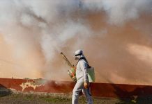 How Unexpected Pest Problems Drive Urgent Calls for Professional Help