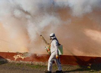 How Unexpected Pest Problems Drive Urgent Calls for Professional Help