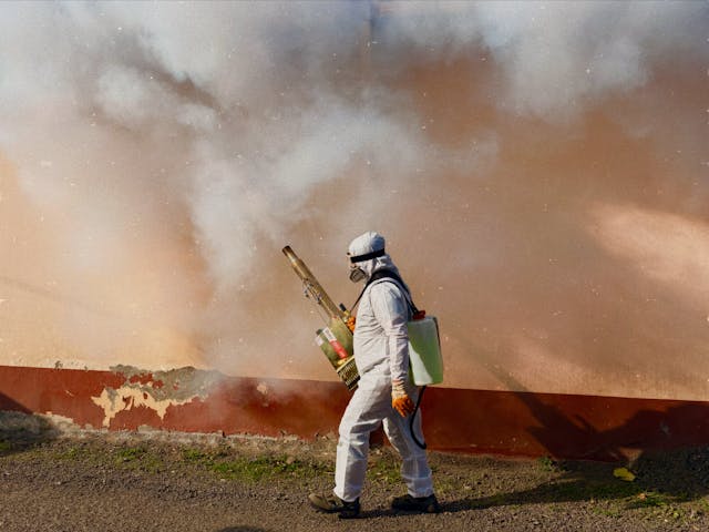 Pest Problems Drive Urgent Calls for Professional Help